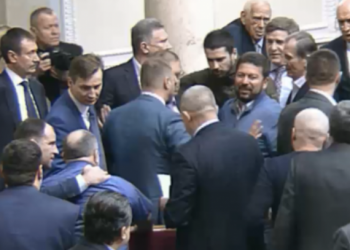 В ВР депутаты Власенко и Пашинский устроили потасовку
