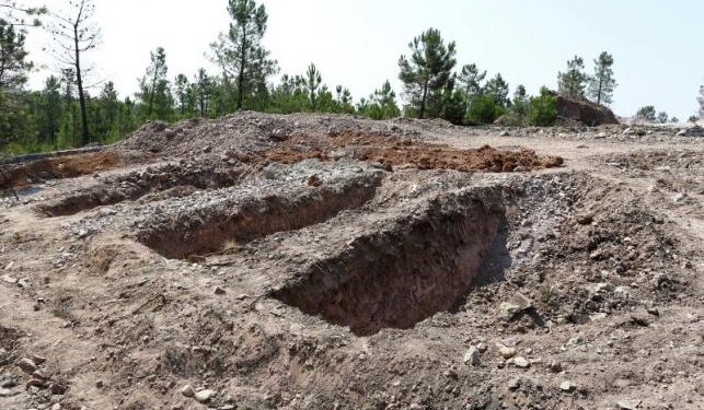 Погибших участников переворота в Турции хоронят неподалеку от кладбища для животных