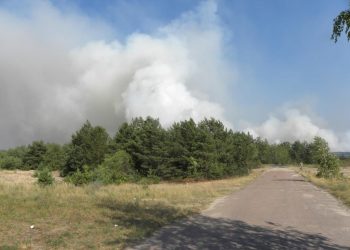 В сети появился фотоснимок пожара под Чернобылем