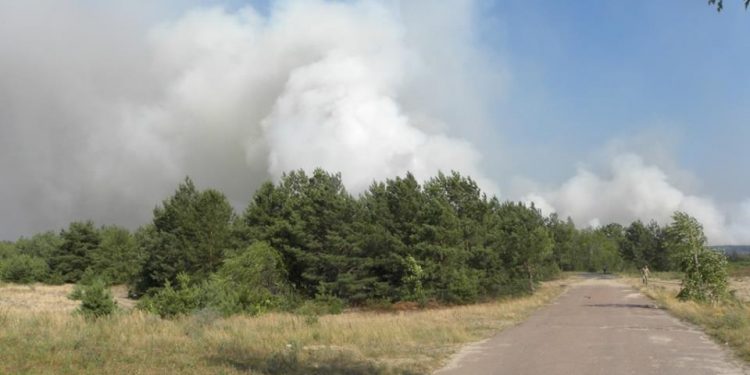 В сети появился фотоснимок пожара под Чернобылем