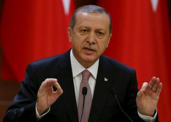 Глава Турции заявил об изменении конституции государства