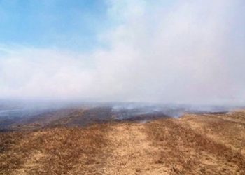 Солдаты отрицают взрывы снарядов на горящем полигоне