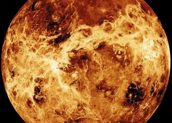 На Венере могла бы быть жизнь