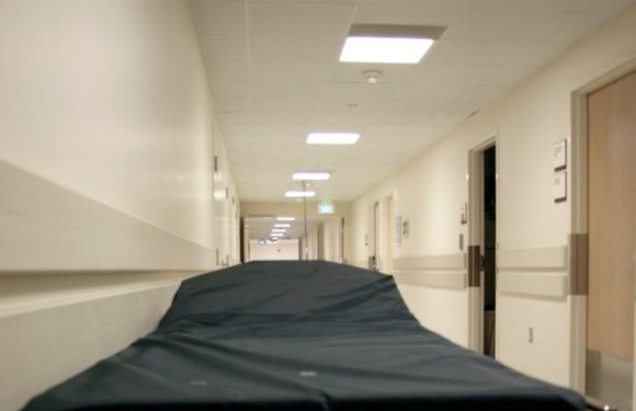 В Грузии на свадьбе отравились 180 человек