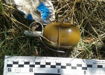 В Донецкой области мужчина в куче мусора нашел три боевые гранаты