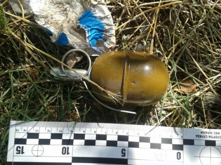 В Донецкой области мужчина в куче мусора нашел три боевые гранаты