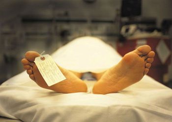 Под Киевом нашли подпольный морг