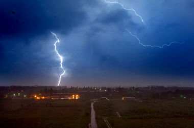 На Осокорках в Киеве дерево убило местного жителя