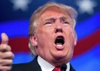 Financial Times: Украинские политики вмешались в американские выборы