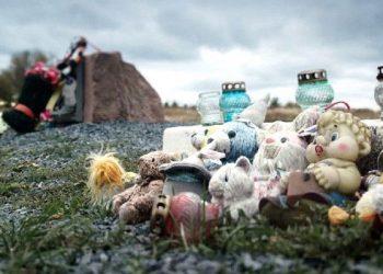 Названа возможная причина катастрофы MH17, - версия экс-вице-премьера России