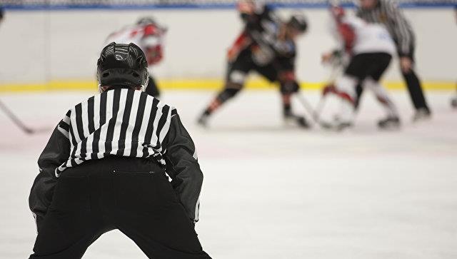 В Чехии хоккейный арбитр умер после попадания шайбы в голову