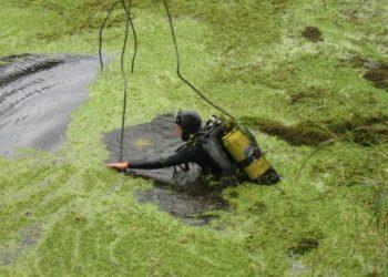 Тело женщины нашли в озере во Львовской области