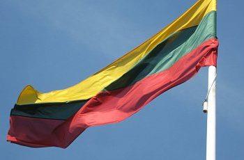 Литва передала Украине неиспользуемые боеприпасы,- пресса