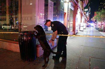 Взрыв в Нью-Йорке: 29 раненых