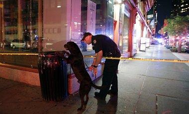 Взрыв в Нью-Йорке: 29 раненых