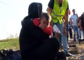 Британцы возведут во Франции стену для защиты от беженцев