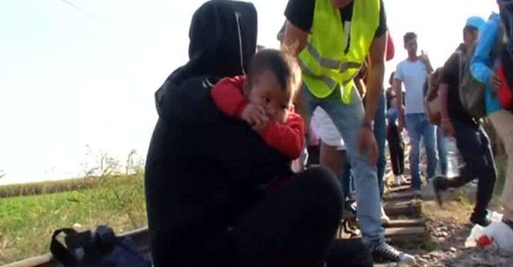 Британцы возведут во Франции стену для защиты от беженцев