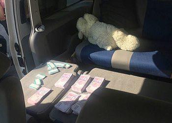 В Запорожье на крупной взятке задержали чиновников облэнерго