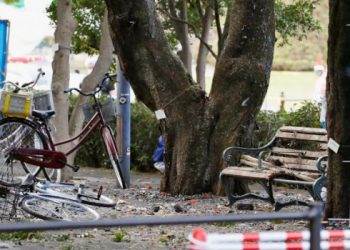 В результате взрывов в японском парке погиб человек