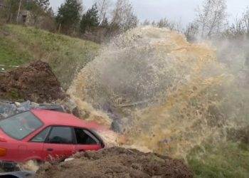 Латвийский пенсионер «утопил» авто в бассейне из колы