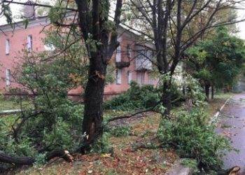 В Донецке сильный ветер нанес серьезные разрушения