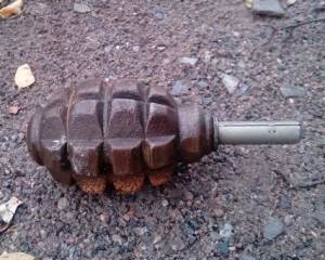 Житомирской области оперативник взорвал себя гранатой