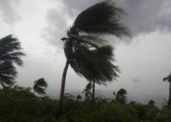 Страшная стихия: Число жертв урагана «Мэтью» в США достигло 33 человек