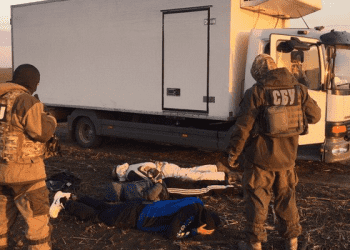 Трое украинцев не довезли в Россию контрабандное мясо