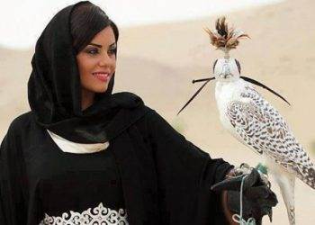 В "Борисполе" задержали соколиных контрабандистов