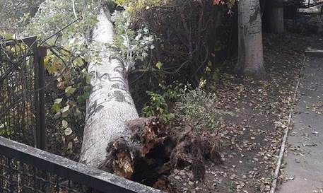 Шторм в Запорожской области: затоплена база отдыха