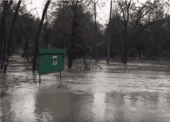 Ужгород страдает от паводков, - видео