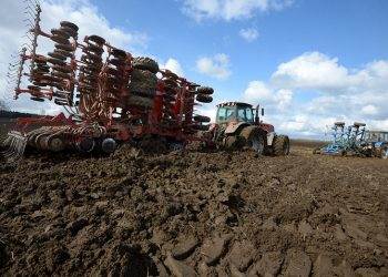 Режим ЧС из-за гибели урожая ввели в Тульской области