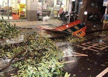 Из-за тайфуна в Шанхае эвакуирована часть жителей