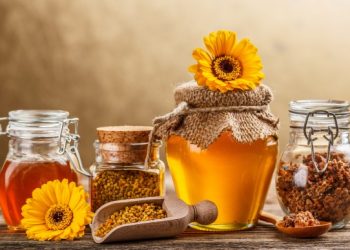 Украина находится в пятерке лидеров по производству меда