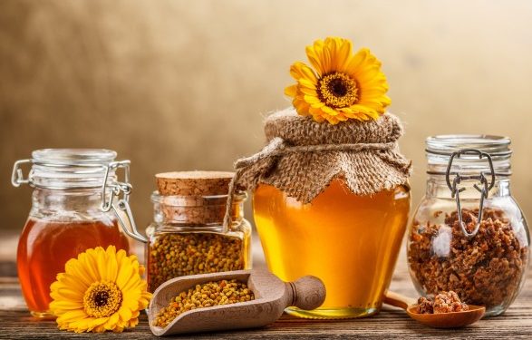 Украина находится в пятерке лидеров по производству меда