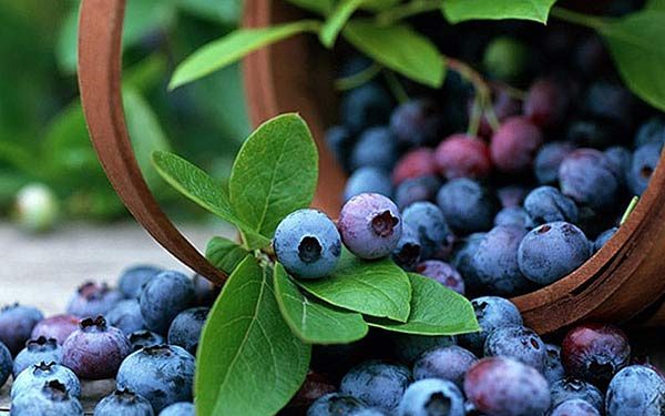 Рейтинг продуктов