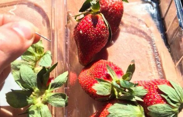 Полуниця з голками