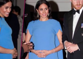 Герцоги Сассекські очікують на близнюків